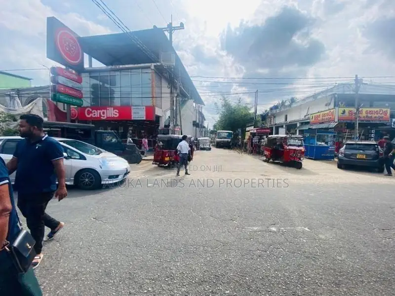 Land For Sale in Dambulla - දඹුල්ලෙන් ඉඩමක් විකිණීමට