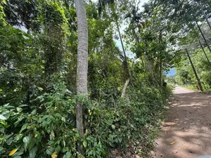 Land for sale in Matale