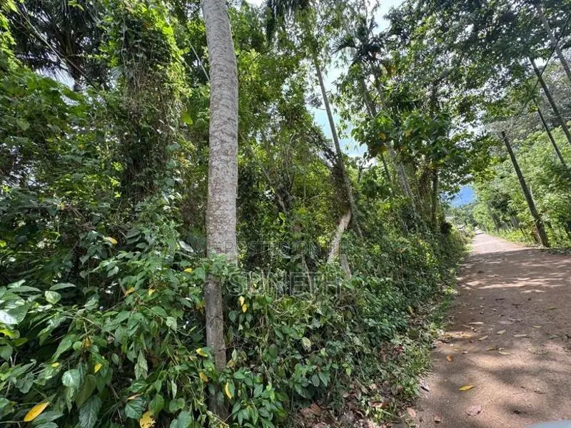 Land for sale in Matale