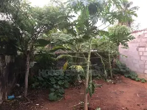 🌿 Prime Land for Sale – Moratuwa