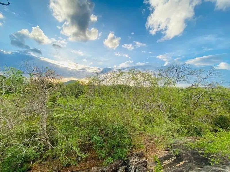 Land For Sale in Dambulla - දඹුල්ලෙන් ඉඩමක් විකිණීමට