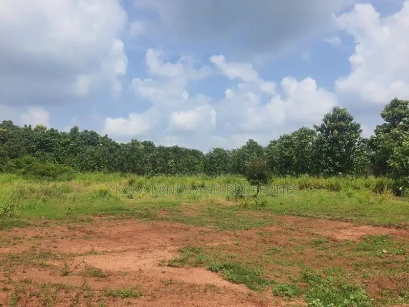 Land For Sale in Dambulla - දඹුල්ලෙන් ඉඩමක් විකිණීමට