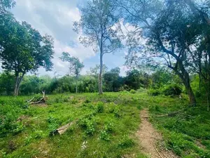 Land For Sale - දඹුල්ලෙන් ඉඩමක් විකිණීමට (කණ්ඩලම පාර දඹුල්ල)