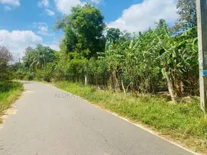 Land For Sale in Dambulla - දඹුල්ලෙන් ඉඩමක් විකිණීමට