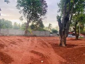 Land For Sale in Dambulla - දඹුල්ලෙන් ඉඩමක් විකිණීමට