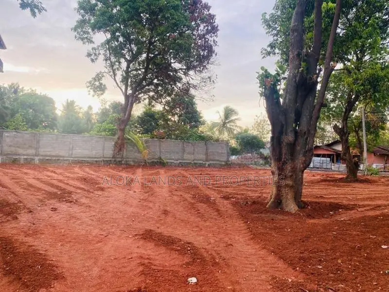 Land For Sale in Dambulla - දඹුල්ලෙන් ඉඩමක් විකිණීමට