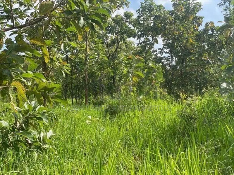 Land For Sale in Dambulla - දඹුල්ලෙන් ඉඩමක් විකිණීමට