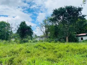 Dambulla – Kandalama | දඹුල්කල කණ්ඩලම පාරට අසන්නයෙන්