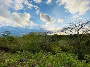 Land For Sale in Dambulla - දඹුල්ලෙන් ඉඩමක් විකිණීමට