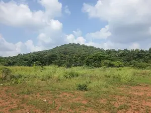 Land For Sale in Dambulla - දඹුල්ලෙන් ඉඩමක් විකිණීමට