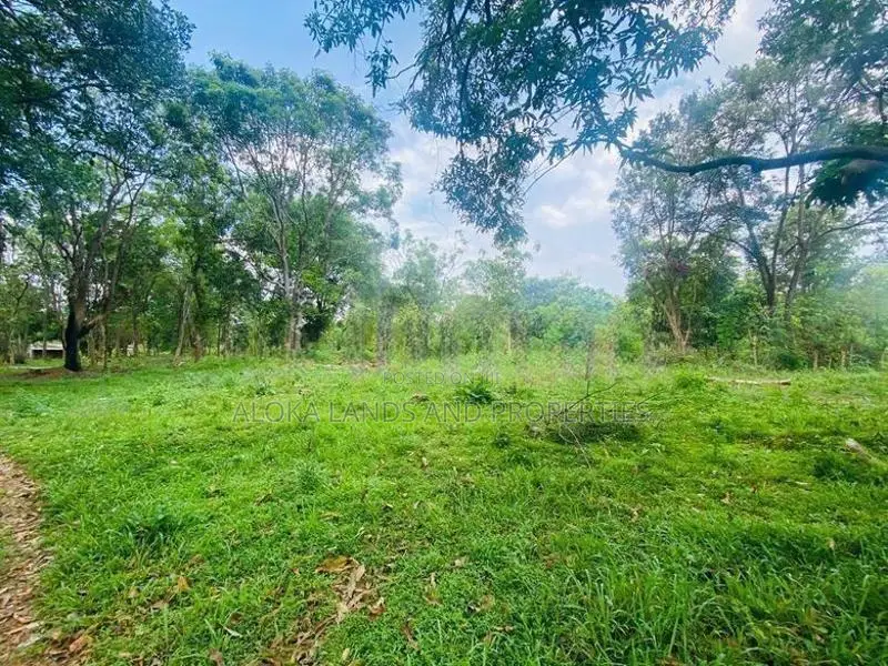 Land For Sale - දඹුල්ලෙන් ඉඩමක් විකිණීමට (කණ්ඩලම පාර දඹුල්ල)