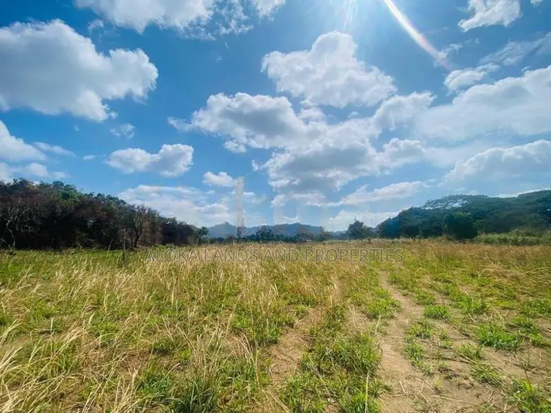 Land For Sale in Dambulla - දඹුල්ලෙන් ඉඩමක් විකිණීමට