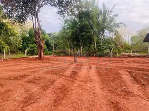 Land For Sale in Dambulla - දඹුල්ලෙන් ඉඩමක් විකිණීමට