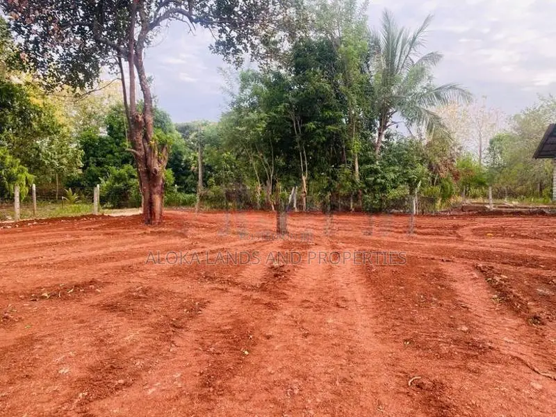 Land For Sale in Dambulla - දඹුල්ලෙන් ඉඩමක් විකිණීමට