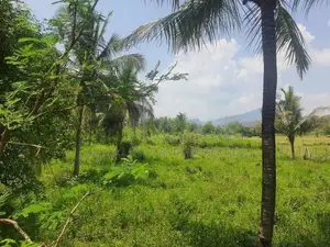 Land For Sale in Dambulla - දඹුල්ලෙන් ඉඩමක් විකිණීමට