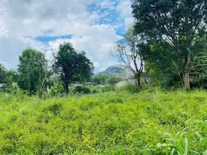 Dambulla – Kandalama | දඹුල්කල කණ්ඩලම පාරට අසන්නයෙන්