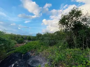 Land For Sale in Dambulla - දඹුල්ලෙන් ඉඩමක් විකිණීමට