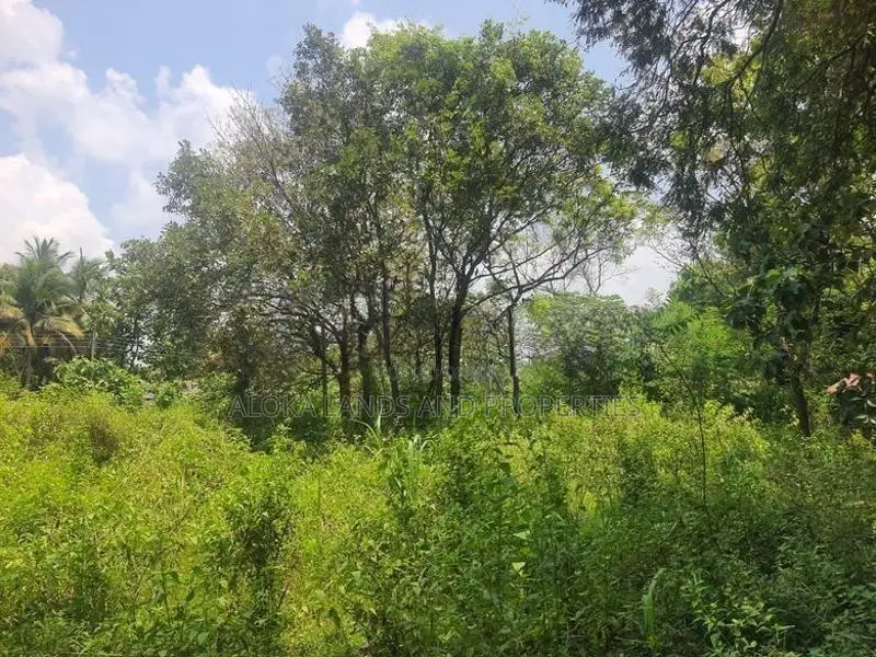 Land For Sale in Dambulla - දඹුල්ලෙන් ඉඩමක් විකිණීමට