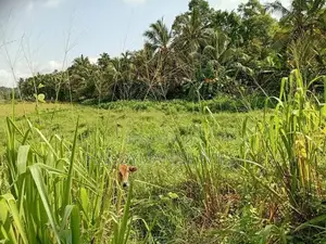 Land for sale in Kiribathgoda Makola
