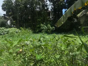Land for sale in Kiribathgoda Makola