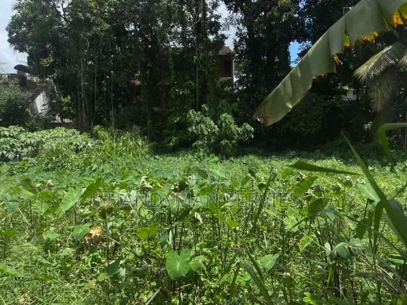 Land for sale in Kiribathgoda Makola