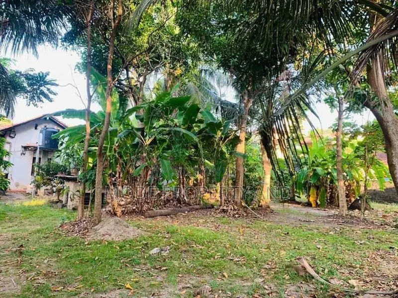 Land for Sale in Mount Lavinia