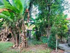 Land for Sale in Mount Lavinia