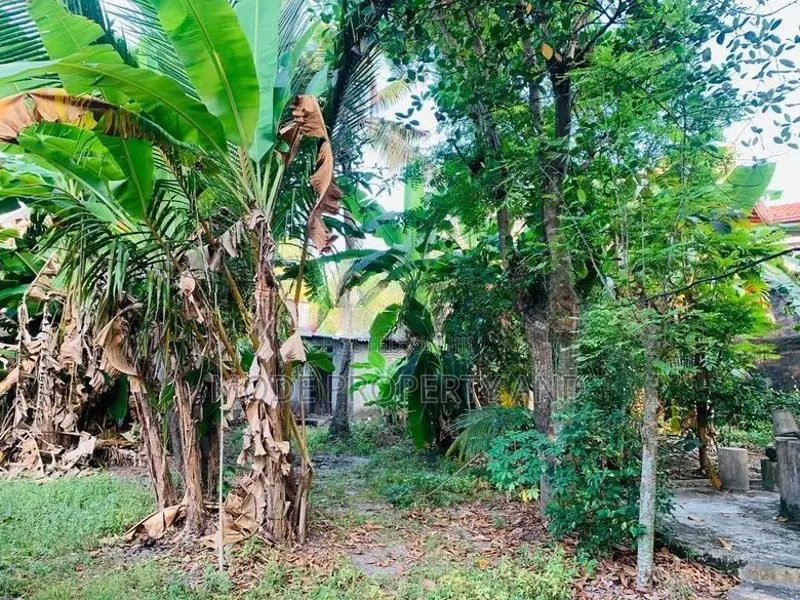 Land for Sale in Mount Lavinia