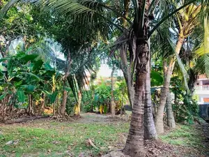 Land for Sale in Mount Lavinia