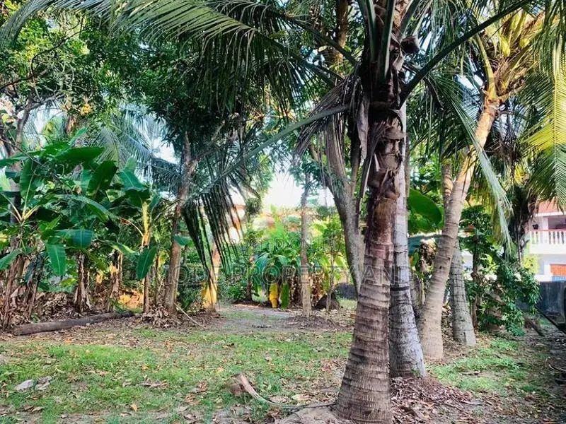 Land for Sale in Mount Lavinia