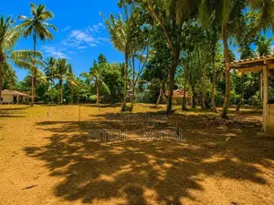 Land for Sale Midigama