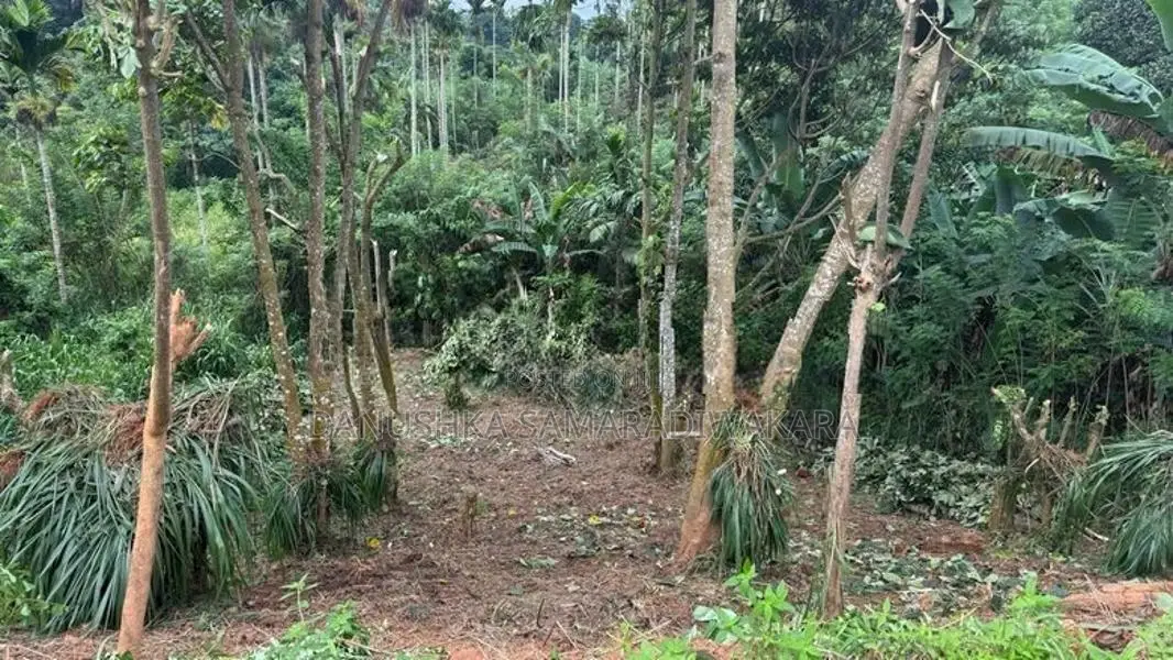 Land for Sale in Pilimathalawa
