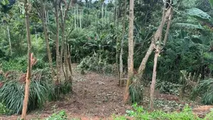 Land for Sale in Pilimathalawa