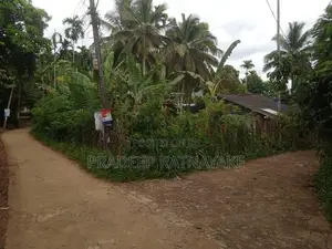 Coconut Land for Sale in Gampola