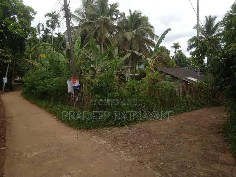 Coconut Land for Sale in Gampola