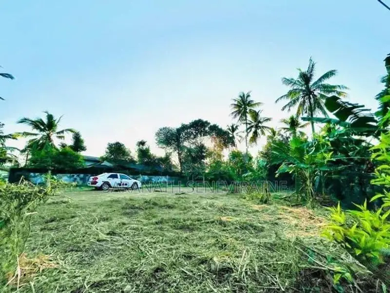 Land in Panadura Wijewardena Mw - Hirana Rd