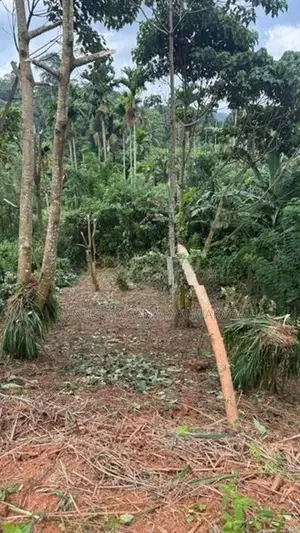 Land for Sale in Pilimathalawa