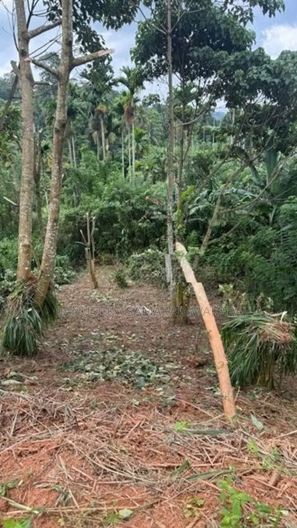 Land for Sale in Pilimathalawa