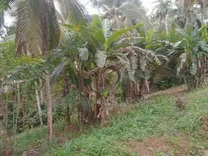 Coconut Land for Sale in Gampola