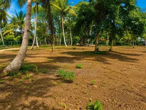 Land for Sale Midigama