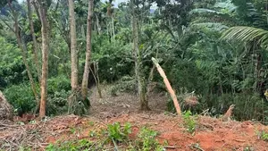 Land for Sale in Pilimathalawa