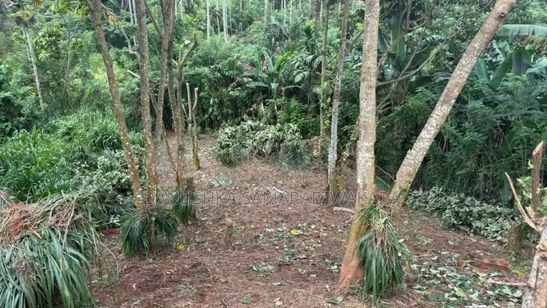 Land for Sale in Pilimathalawa