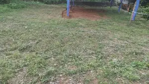 Kalutara : 25 Perches Prime Land for Sale in Nagoda