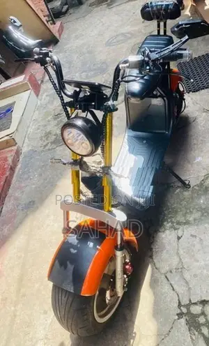 Electric Bike 2016