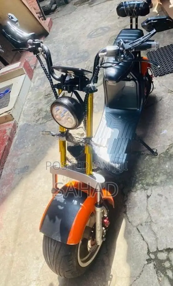 Electric Bike 2016