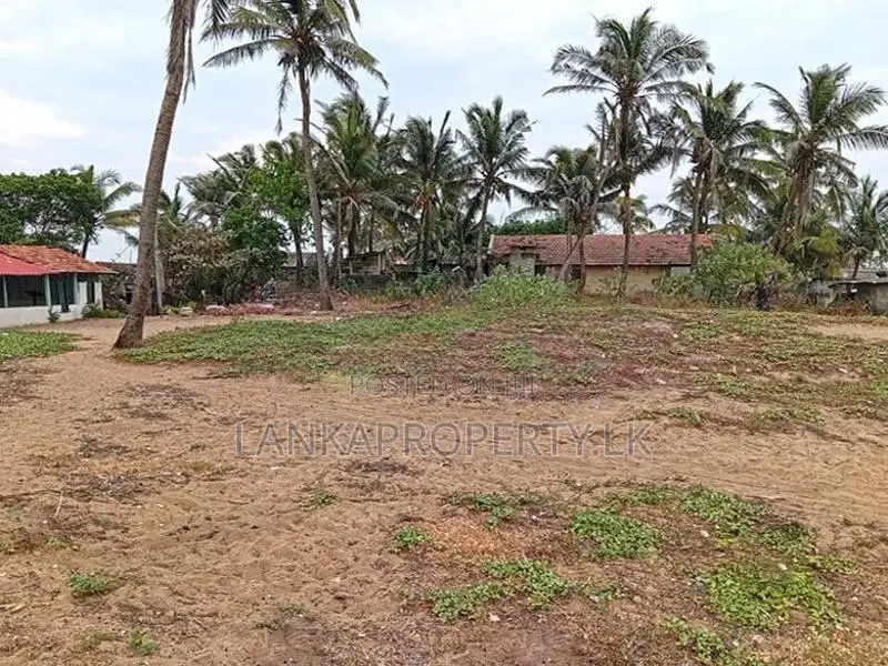Prime Beachfront Land for Sale Pitipana, Negombo