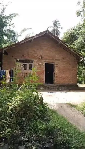 Matara : 74P Fertile Land for Sale in Rathmale