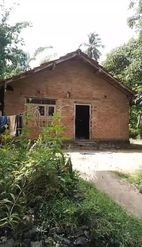 Matara : 74P Fertile Land for Sale in Rathmale