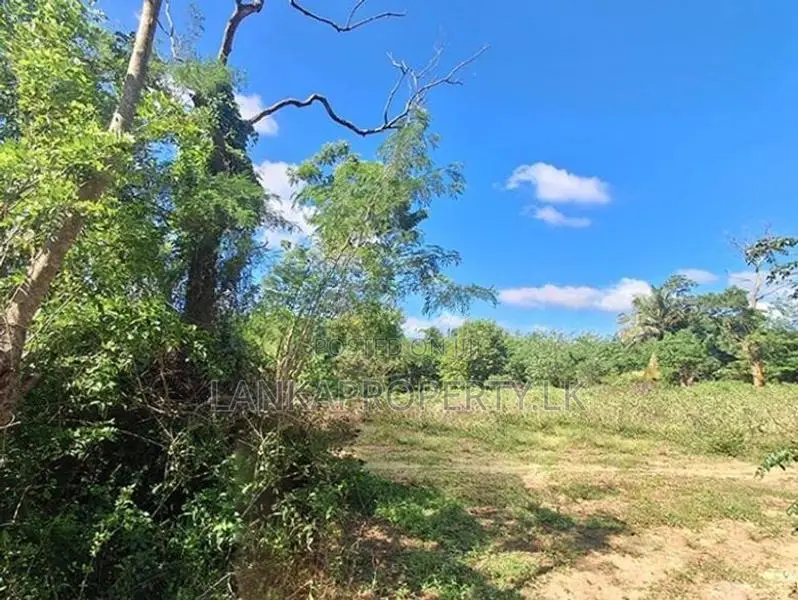 A valuable 2.5 acre land is for sale in plots Colombo.