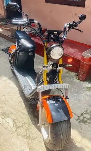 Electric Bike 2016